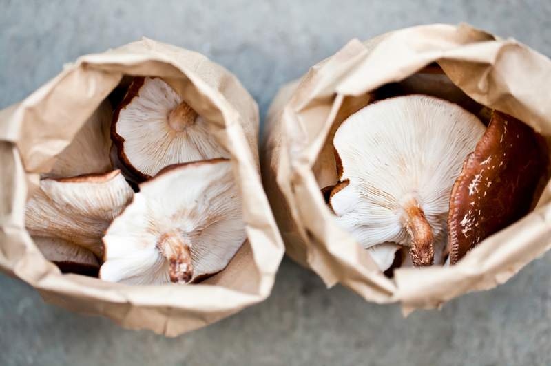 Jeg prøvde å dyrke sopp hjemme og hadde shiitakes klar til høsting på bare 10 dager