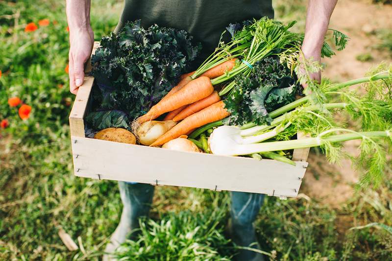 Diese CSAs liefern frisches Fleisch und produzieren von der Farm direkt zu Ihrer Tür