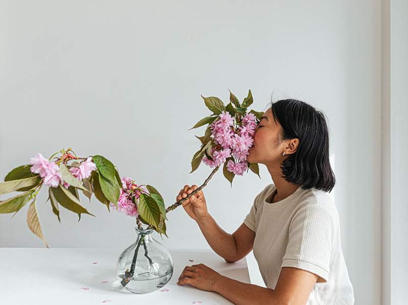 Quand utiliser de l'eau bouillante pour les fleurs coupées fraîches