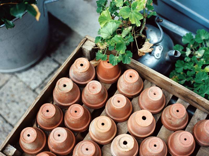 Le moyen facile de faire un olla qui met vos plantes pour vous