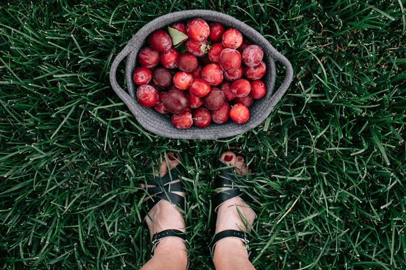 4 razões pelas quais um nutricionista diz que você deve adicionar ameixas saudáveis ​​para o coração à sua rotação de frutas imediatamente