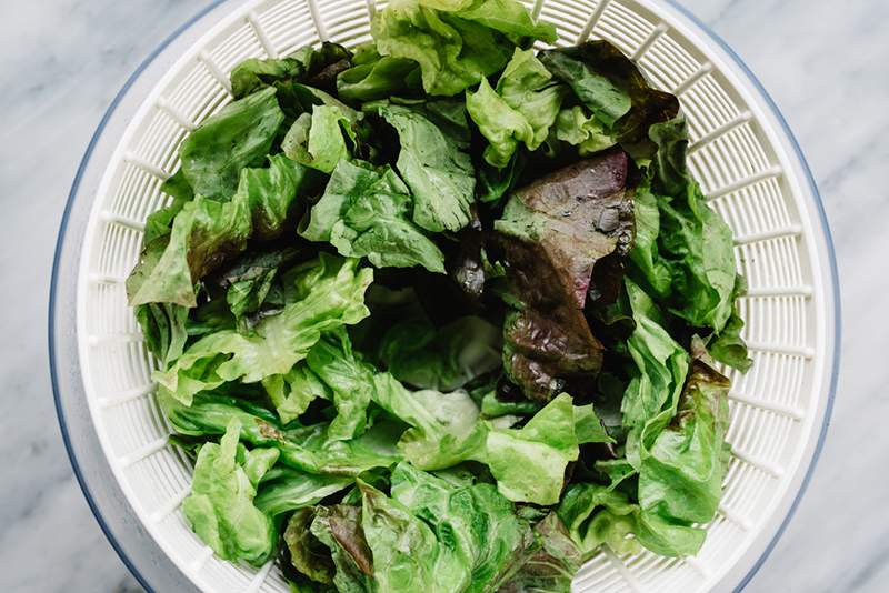 Finalmente un trucco chef infallibile per il rilancio insalata appassionata (zero sforzo richiesto)