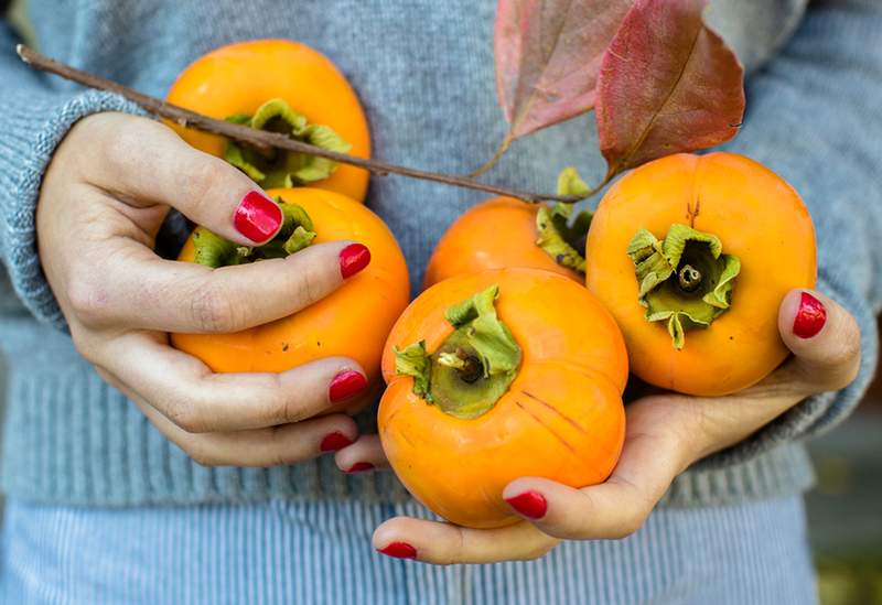 Os benefícios à saúde da fruta do caqui, uma das criações mais notáveis ​​da natureza com um gosto diferente de qualquer outro