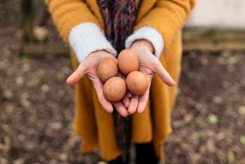 Eier werden früher schlecht als Sie denken, wie Sie sagen können, ob Ihre noch frisch sind