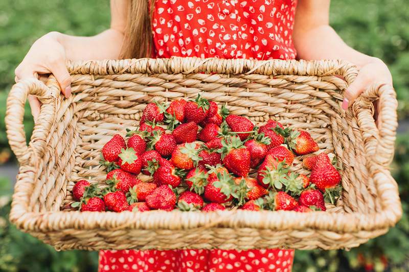 Questi sono i primi 5 gruppi alimentari antinfiammatori legati alla salute del cervello a lungo termine