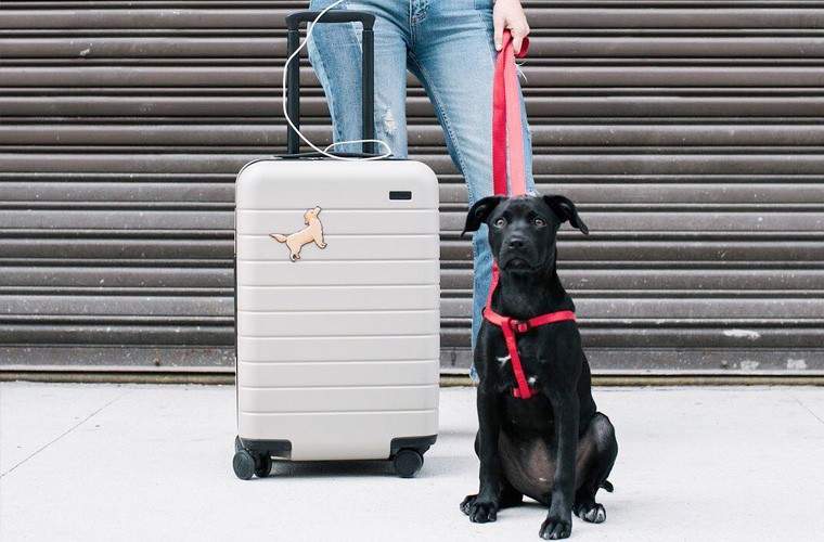 Les 8 gadgets de voyage qui rendront votre prochain voyage moins stressant