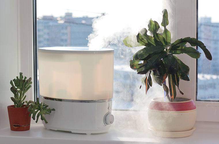 Estos 9 humidificadores con calificación superior de la piel en Amazon quieren invernadear su hogar saludable