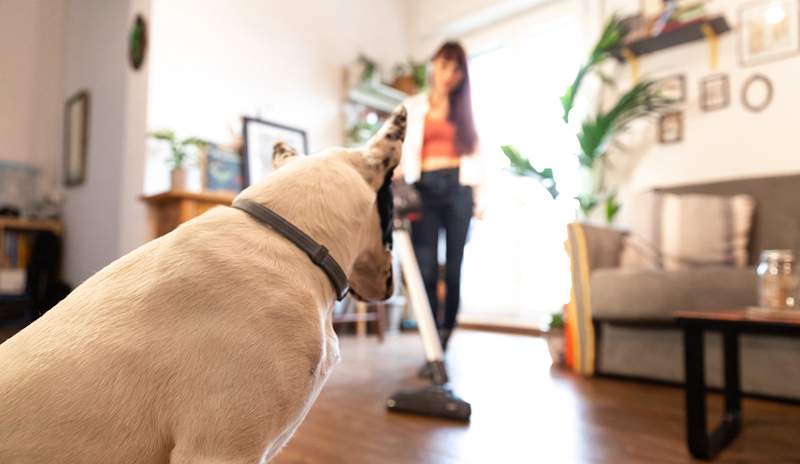 Dieser schnurlose Vakuum-Mop-Hybrid hat mich wirklich umgehauen, wie leicht es mein Schmutz und mein Hundehaar reinigte