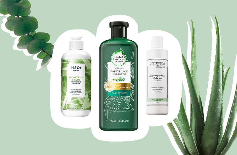 Aloe Vera è così buono per i capelli che ha 75 attivi pronti a far brillare i fili