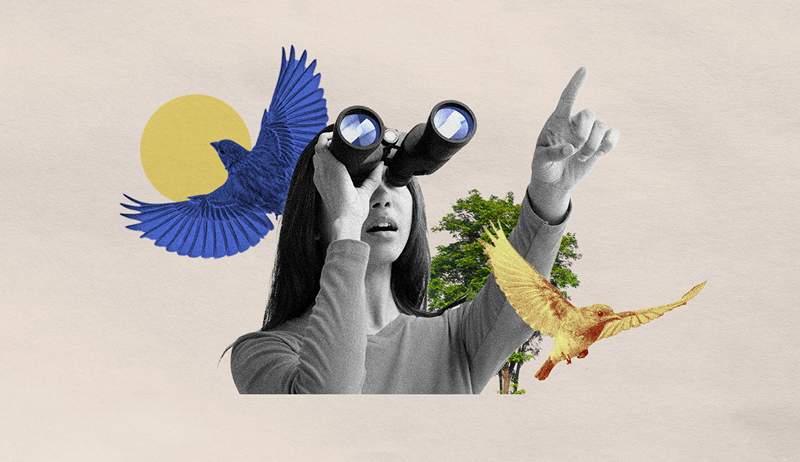 Pegue seu binocular-bird-watching agora é uma maneira aprovada pela geração Z de desconectar e melhorar sua saúde mental