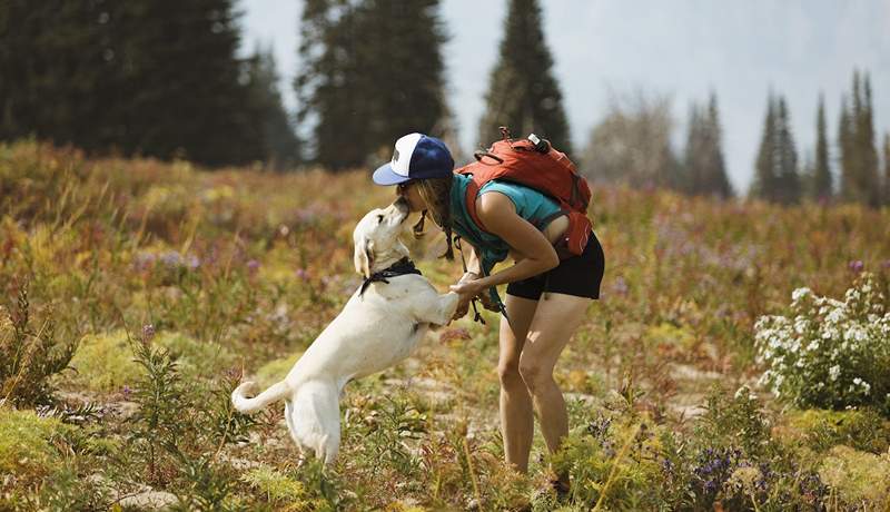 Llegando a los senderos con tu cachorro? Estos productos para mascotas de aventura los mantendrán felices y seguros al aire libre