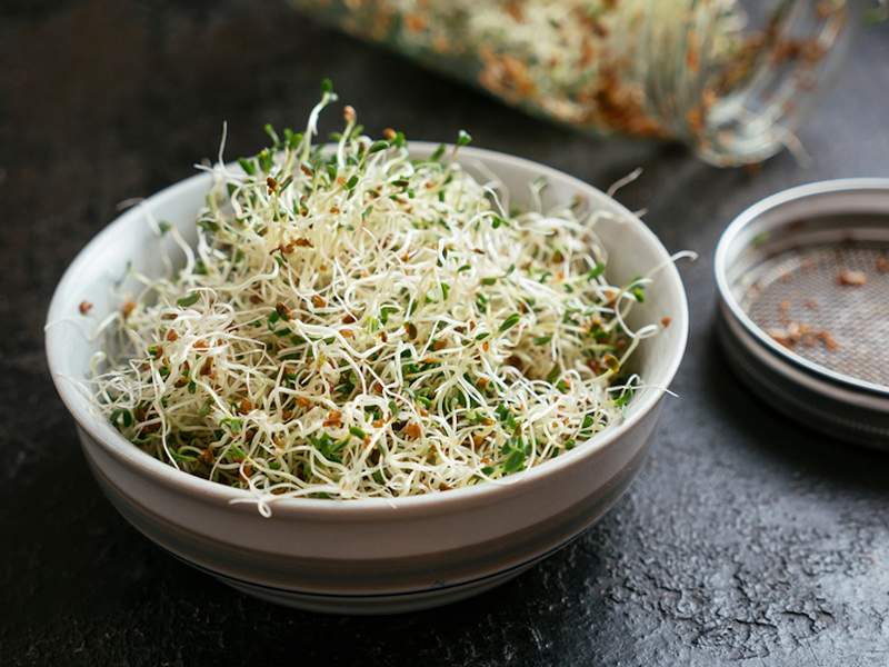 Come lavorare di più alfalfa nella tua vita, la pianta che è un legume * e * un'erba