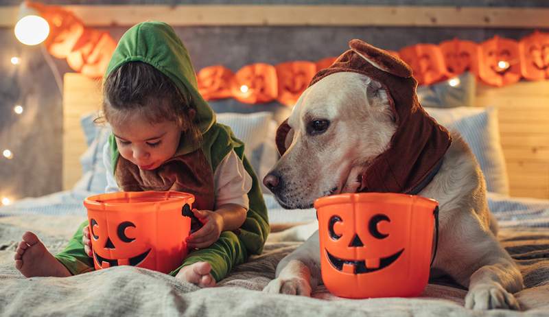 6 allergenvennlig (og barnelege-godkjent!) Typer Halloween -godteri du kan kjøpe på Amazon