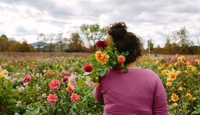 Jaarlijkse VS. Overblijvende planten Dit is de reden waarom beide een plek in uw tuin verdienen