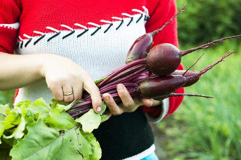 8 Vantaggi delle barbabietole che dimostrano che dovrebbero essere in tutte le tue insalate