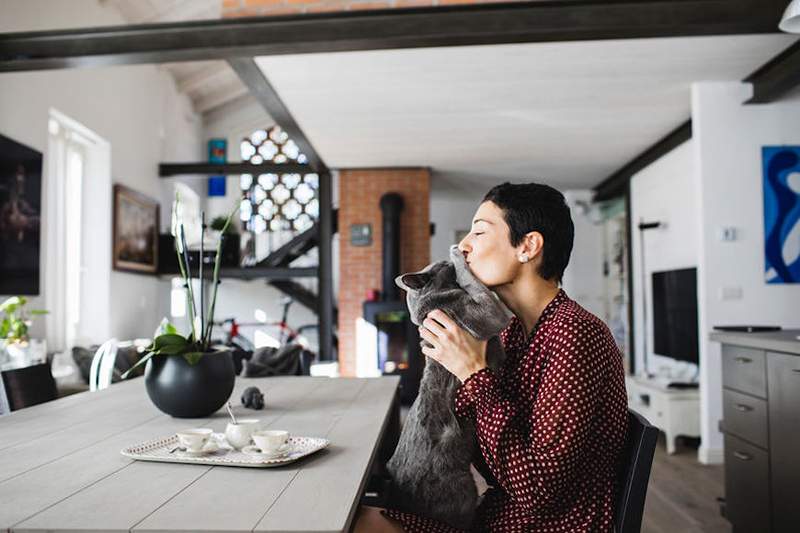 Essere un'orgogliosa signora gatta ti tiene giovane, sano e felice, dice la scienza