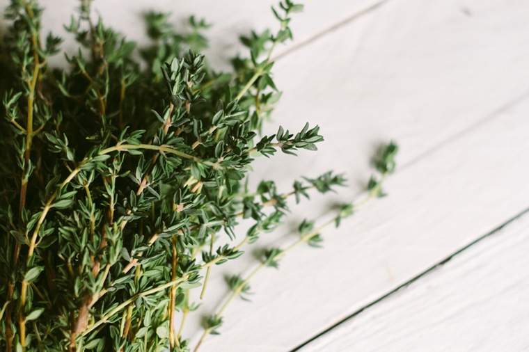 Machen Sie Ihre eigenen Frühlingsreinigungsprodukte mit Pflanzen aus Ihrem Garten