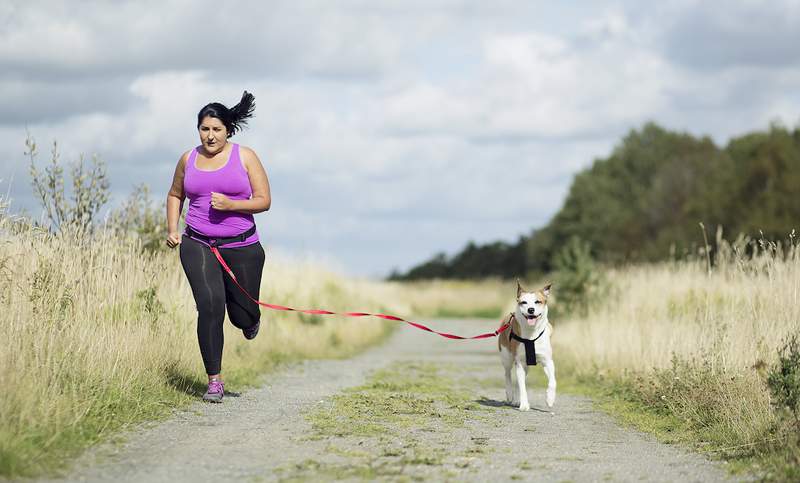 5 tips dari pelari anjing profesional jika Anda ingin mulai berlari dengan anak anjing Anda