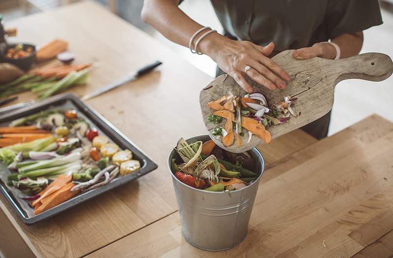 Les 6 meilleurs bacs de compost sans tract pour les débutants et les experts