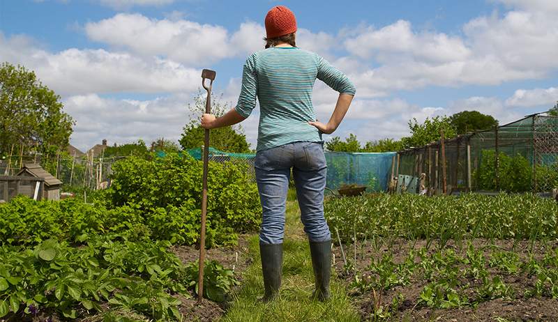 Kasut berkebun terbaik yang menjaga kaki anda kering semasa anda turun dan kotor di luar