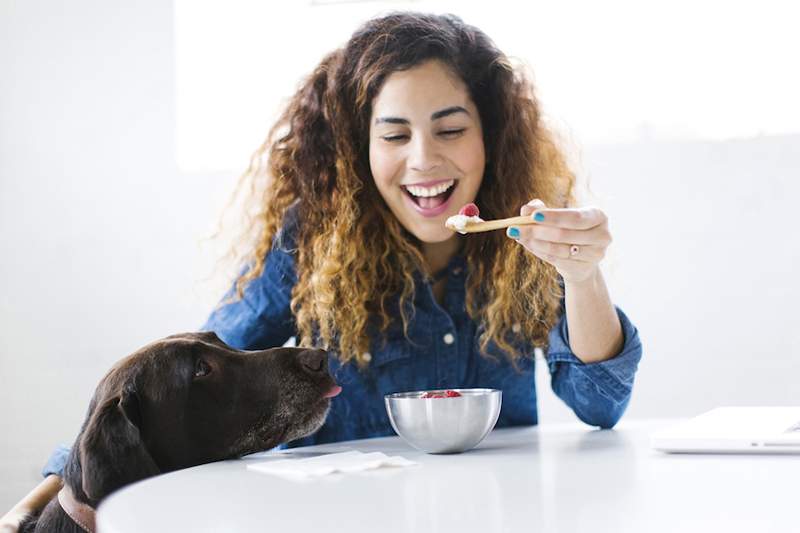 I migliori frutti congelati hanno sempre nel congelatore