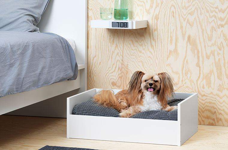 Los nuevos muebles para mascotas de Ikea quieren que su hogar saludable sea más amigable para la piel