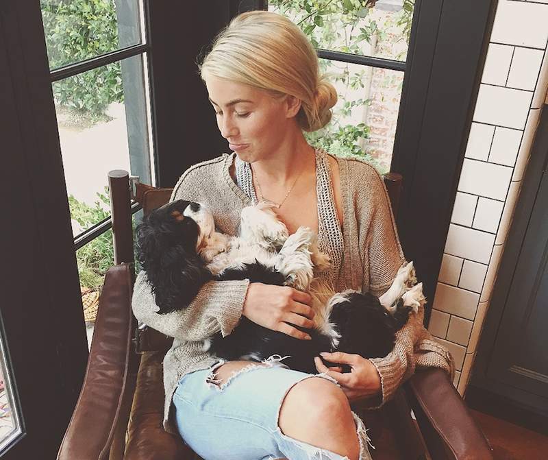 Leczenie wellness Julianne Hough przysięga dla swoich psów