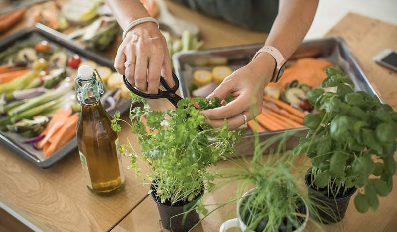 Le migliori forbici da cucina per rendere la cottura e la pulizia di un gioco da ragazzi