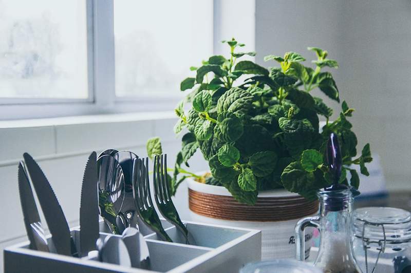 Questo è quanto spesso dovresti sbarazzarti di ogni prodotto della tua cucina