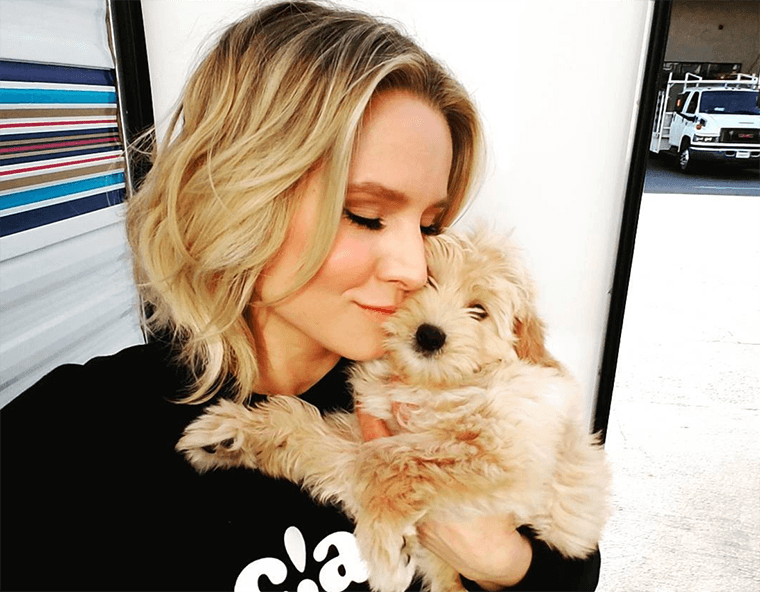 Os 3 produtos de beleza limpa Kristen Bell não podem viver sem