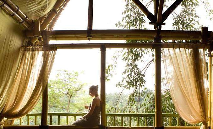 Le remède pour votre fatigue sans fin? Un voyage à travers le monde en un guérisseur de Balian