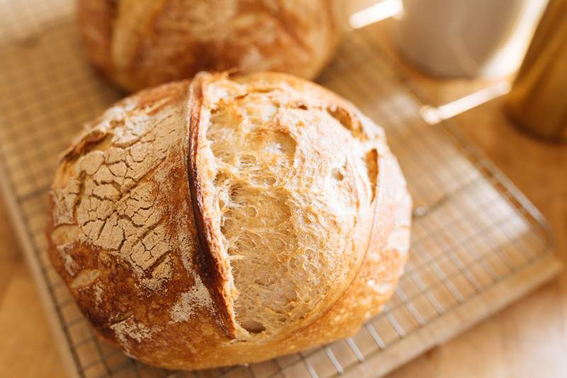 Sono un leader mondiale nella ricerca sulla longevità questo è l'unico tipo di pane che mangio ogni giorno per un invecchiamento sano