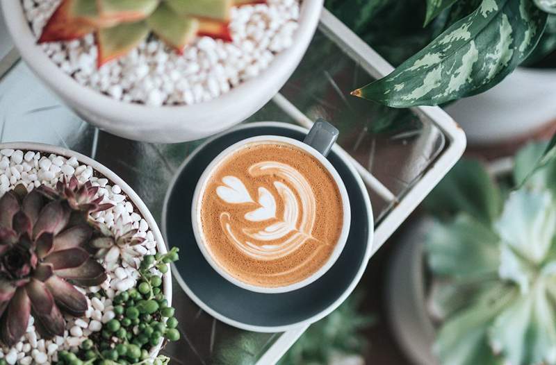 La scienza mi ha detto che l'idea da solo del caffè è energizzante, quindi ho guardato una foto per una settimana