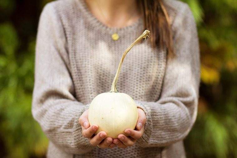 6 suggerimenti per raccogliere e cucinare gustose zucche pronta per Insta