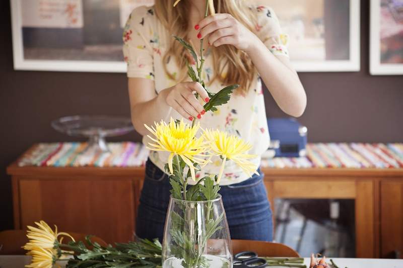 Disse urter, blomster og planter vil hjælpe med at gøre dit hjem til en insektfri zone