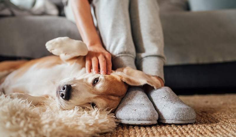 Deze controversiële slippers geven je de meeste comfort en ondersteuning en podologen houden van ze