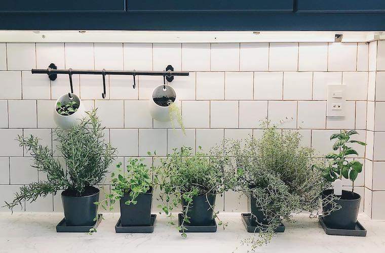 12 Instagram creativi per ispirare il tuo fantastico giardino di erbe da cucina