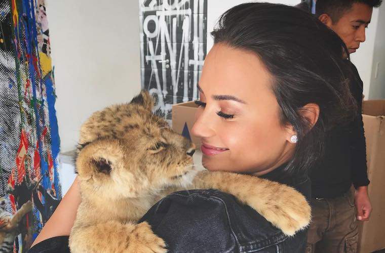 Varför Demi Lovato erbjuder gratis terapi till fans på sin turné