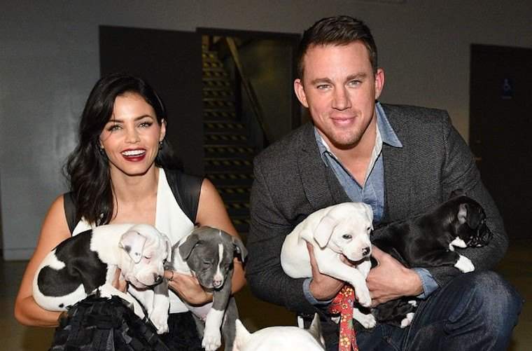 6 celebridades que son el epítome de la relación #objetivos con sus mascotas