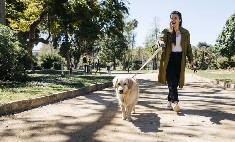 Chodím své psy 3 km denně-to jsou tenisky, které mi poskytují podporu a pohodlí, které potřebuji