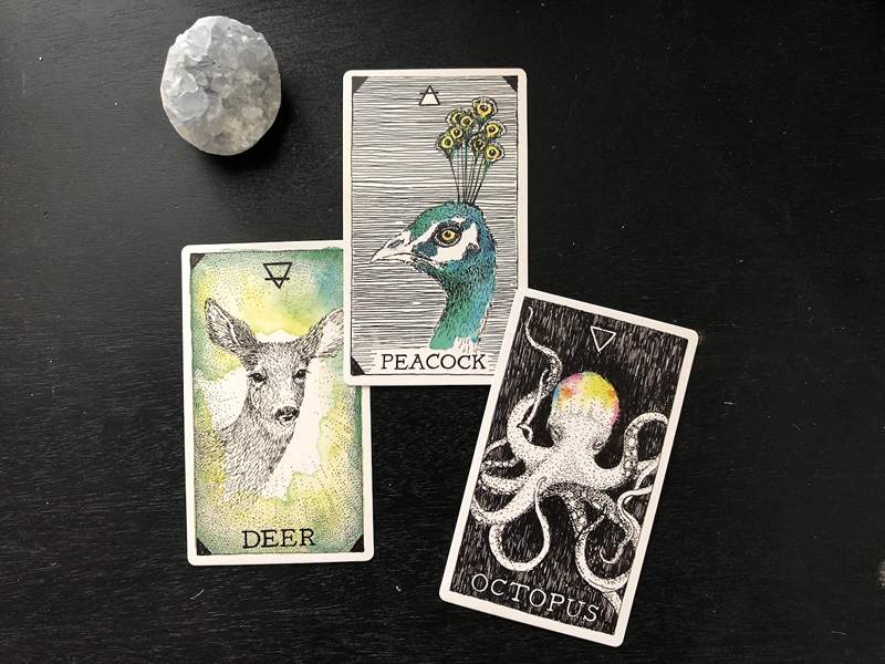 Big Deck Energy Hogyan válassza ki az Ön számára a legjobb tarot vagy Oracle kártyákat