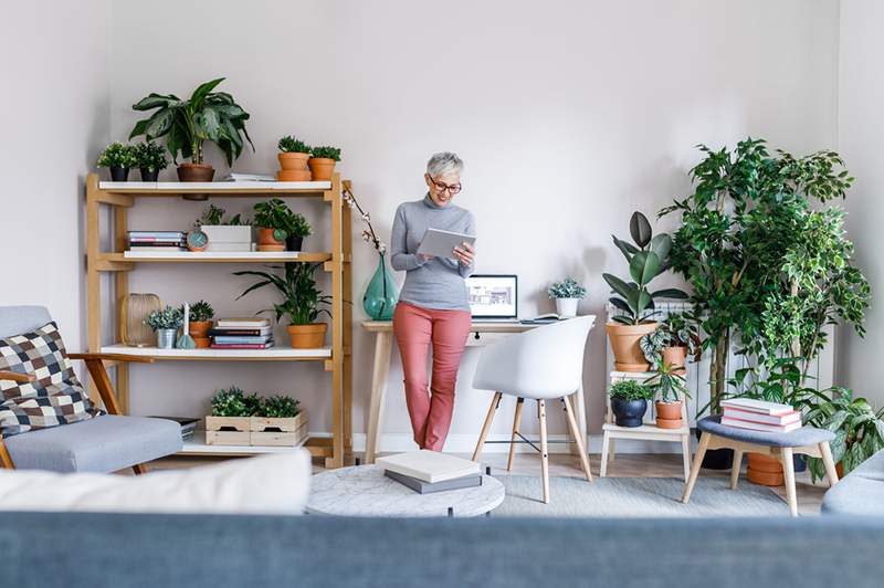 Pas le plus grand parent végétal? Ce service d'abonnement vient de lancer des plans «d'assurance végétale»