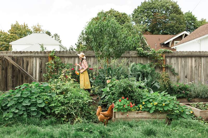 Het mulchen van uw tuin bespaart water en voorkomt dat onkruid is hoe u het correct moet doen