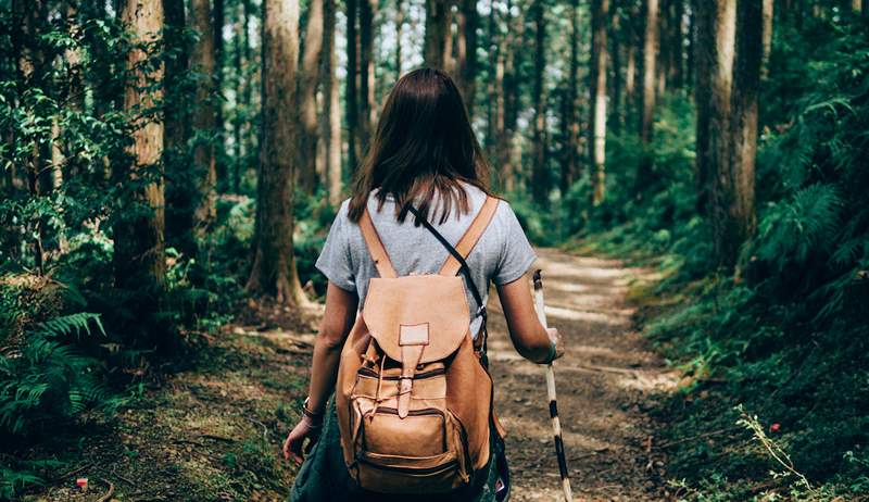 Un cardiólogo y terapeuta habla sobre cómo plantar y vivir cerca de los árboles puede ayudarlo a vivir más tiempo