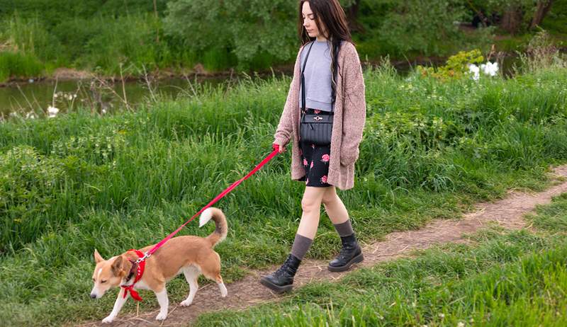 Cuántos minutos necesita caminar diariamente para reducir su riesgo de enfermedad cardíaca en un 30%