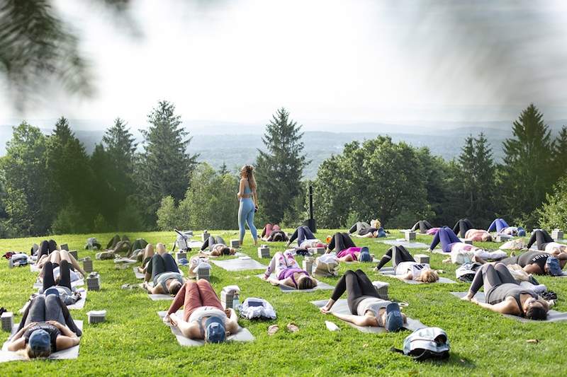 Varför du fart i yogaklassen