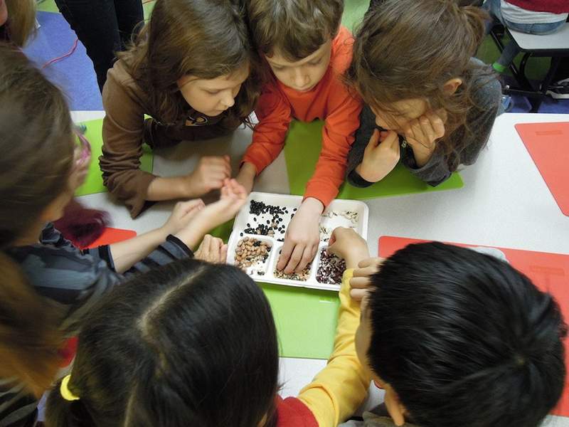 Como uma organização sem fins lucrativos está revolucionando a maneira como as crianças comem e brincam na escola