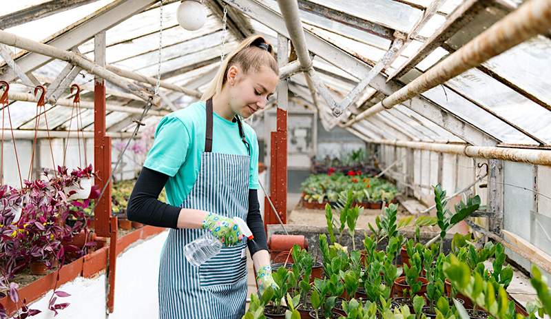 Le maniche da giardinaggio possono proteggere le braccia da scottature e graffi, sono le 6 migliori opzioni